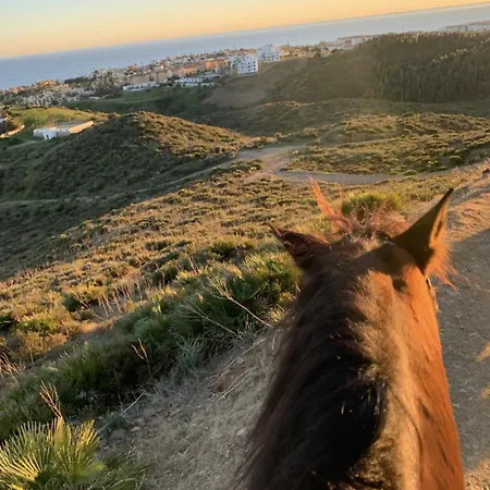 Luxury Frontline In Aria With And Fitness Apartment *