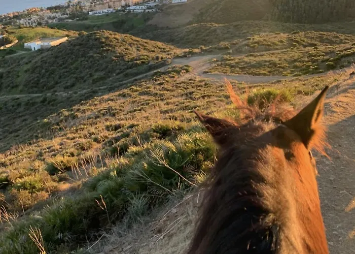 Luxury Frontline In Aria With And Fitness Daire *